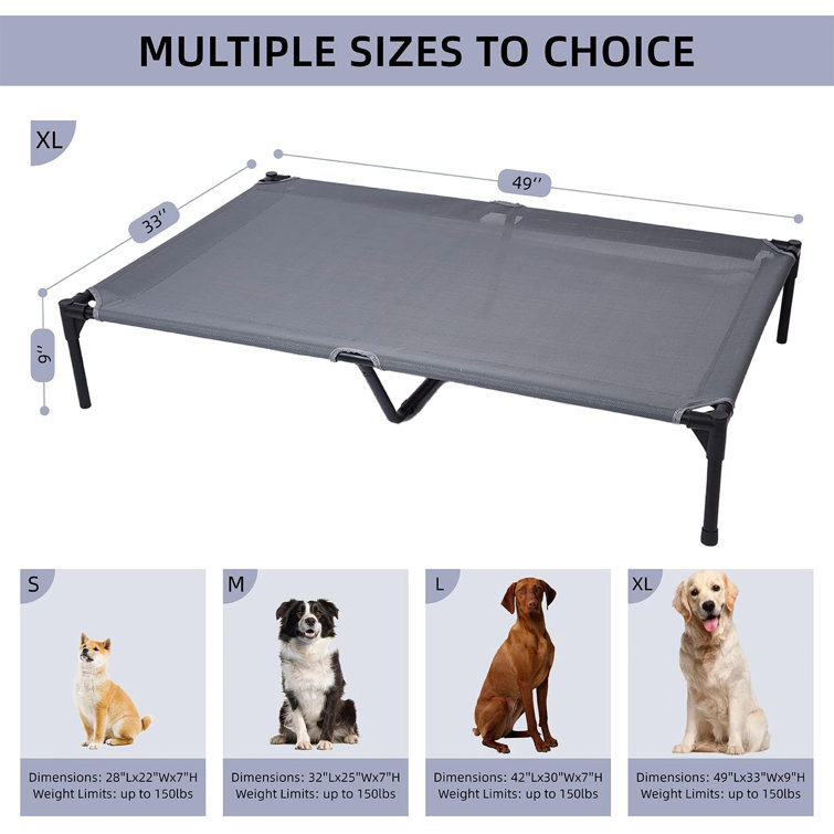 Raised dog deals bed xl